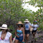 Promar maré cheia - Ecoturismo