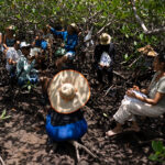 Promar maré cheia - Ecoturismo