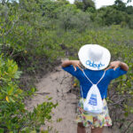 Promar maré cheia - Ecoturismo