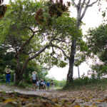 Promar maré cheia - Ecoturismo